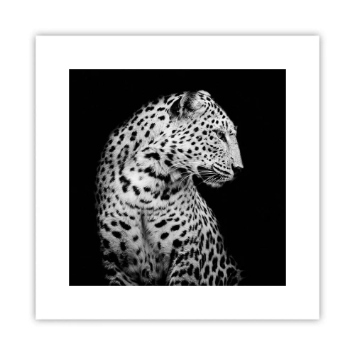 Poster - Juist profiel perfect! - 30x30 cm