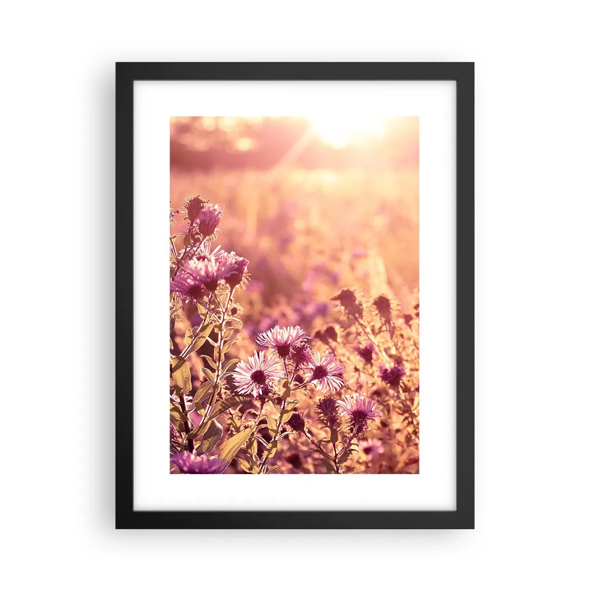 Poster in een zwarte lijst - Voordat de zomer voorbij is - 30x40 cm