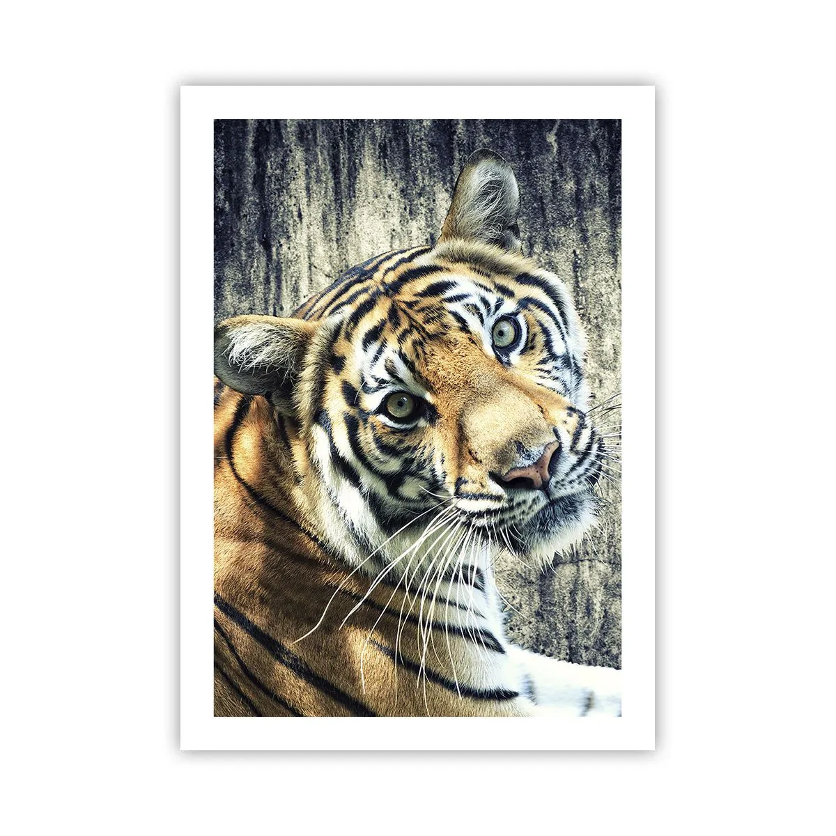 Poster - Portret in stromen van licht - 50x70 cm