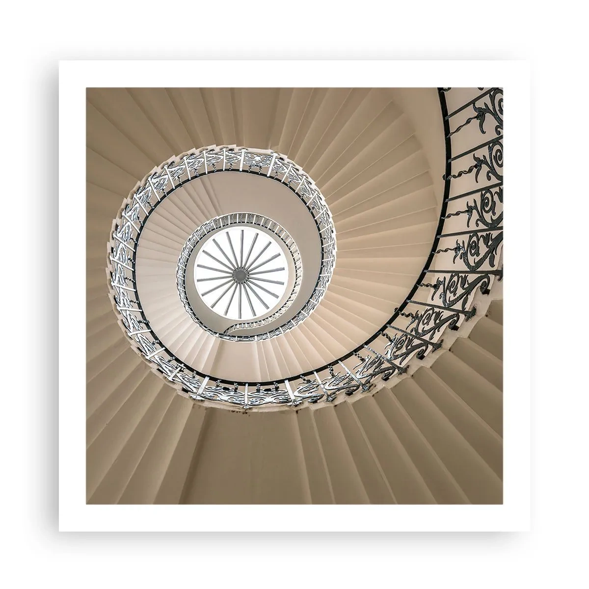 Poster - Binnenin de schaal - 60x60 cm