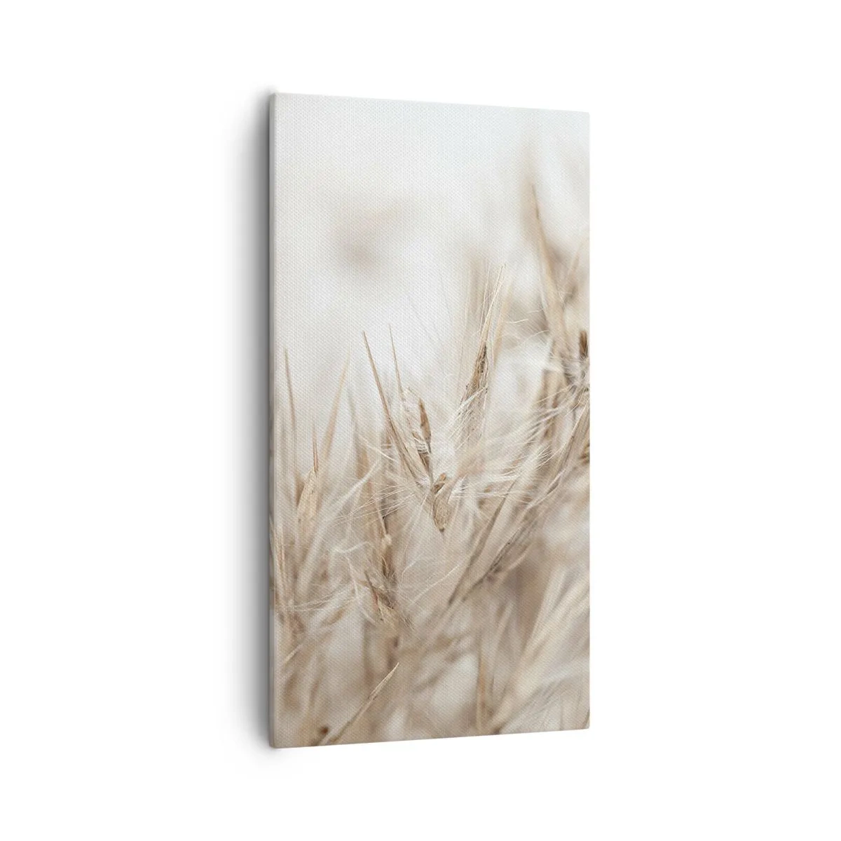 Schilderen op canvas - Weide en wind - 55x100 cm