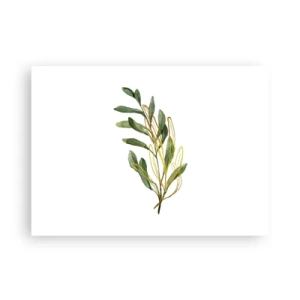 Poster - Alles wat goed is - 70x50 cm