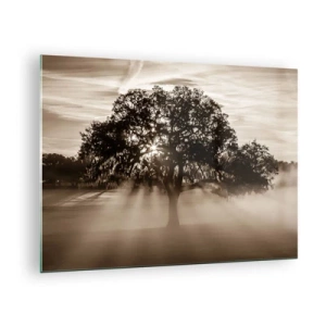 Schilderen op glas - Een boom in de ochtendmist met zonnestralen die door de takken schijnen - 70x50cm - Boom van goede kennis alleen - Moderne wanddecoratie voor woonkamer en slaapkamer ARTTOR