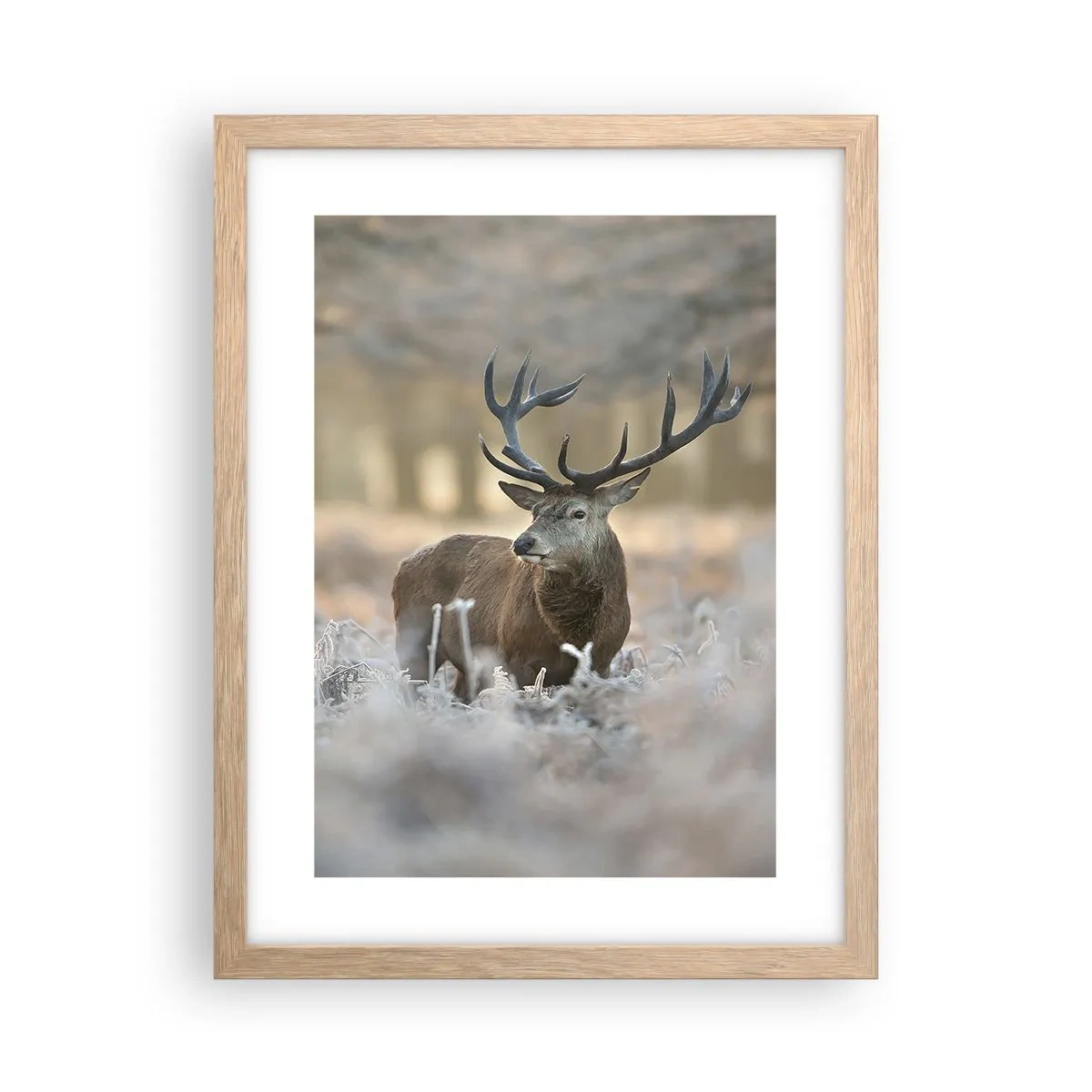 Een poster in een licht eiken lijst - Een frisse ochtend - 30x40 cm