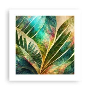 Poster - De kleuren van de tropen - 40x40 cm