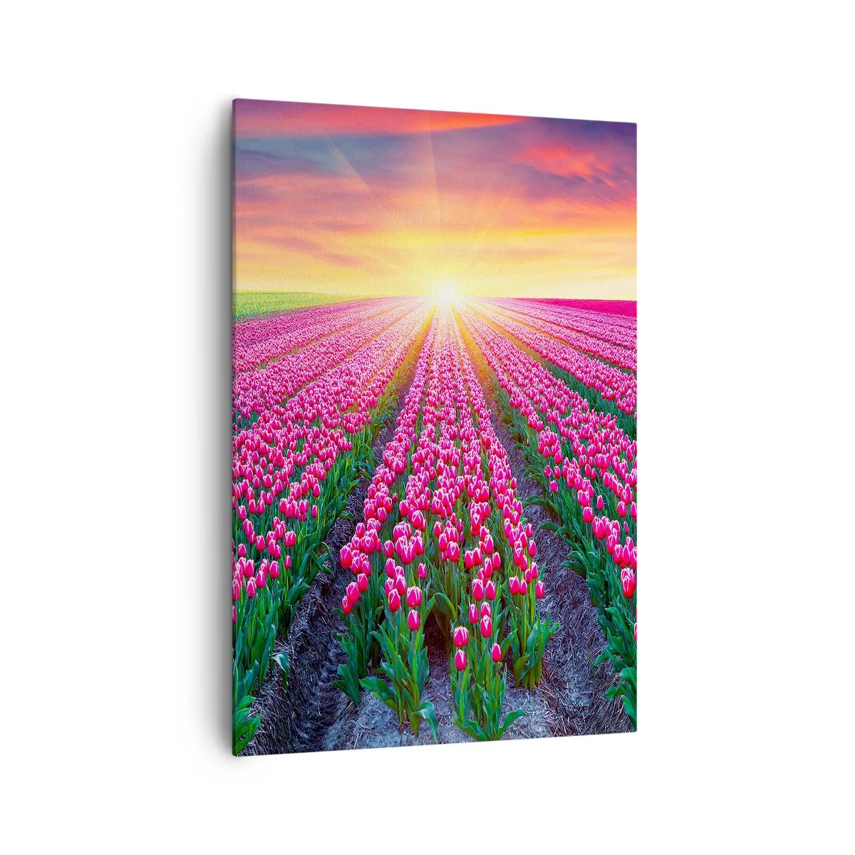 Schilderen op canvas - Beautyfarm - 70x100 cm