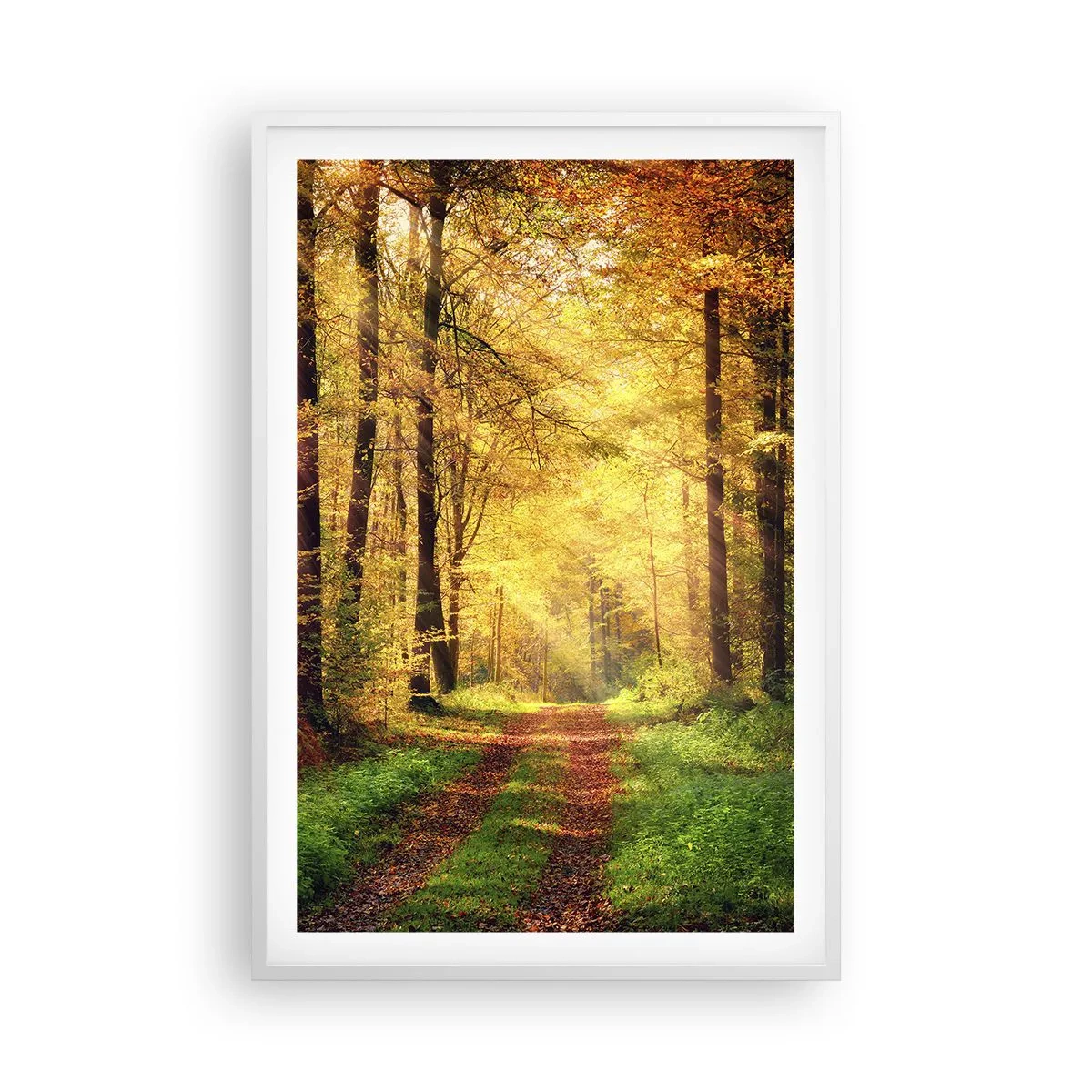 Poster in een witte lijst - Bos-gouden stilte - 61x91 cm