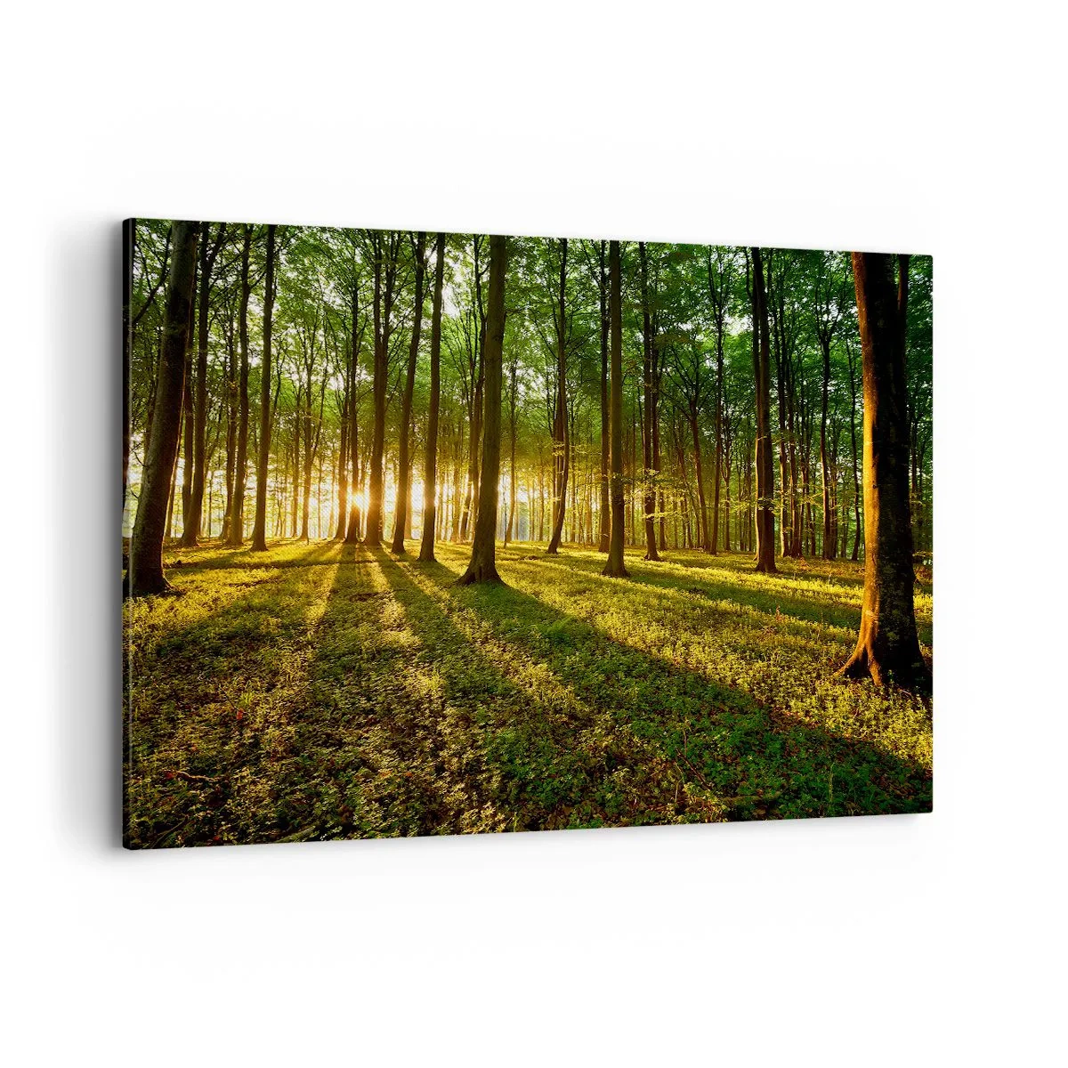 Schilderen op canvas - Foto van de hele lente - 120x80 cm