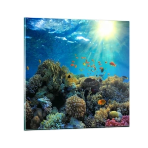 Schilderen op glas - Onderwater schatten - 50x50 cm