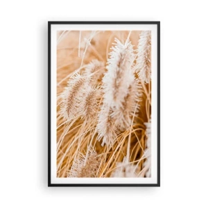 Poster in een zwarte lijst - Het gouden geritsel van het gras - 61x91 cm
