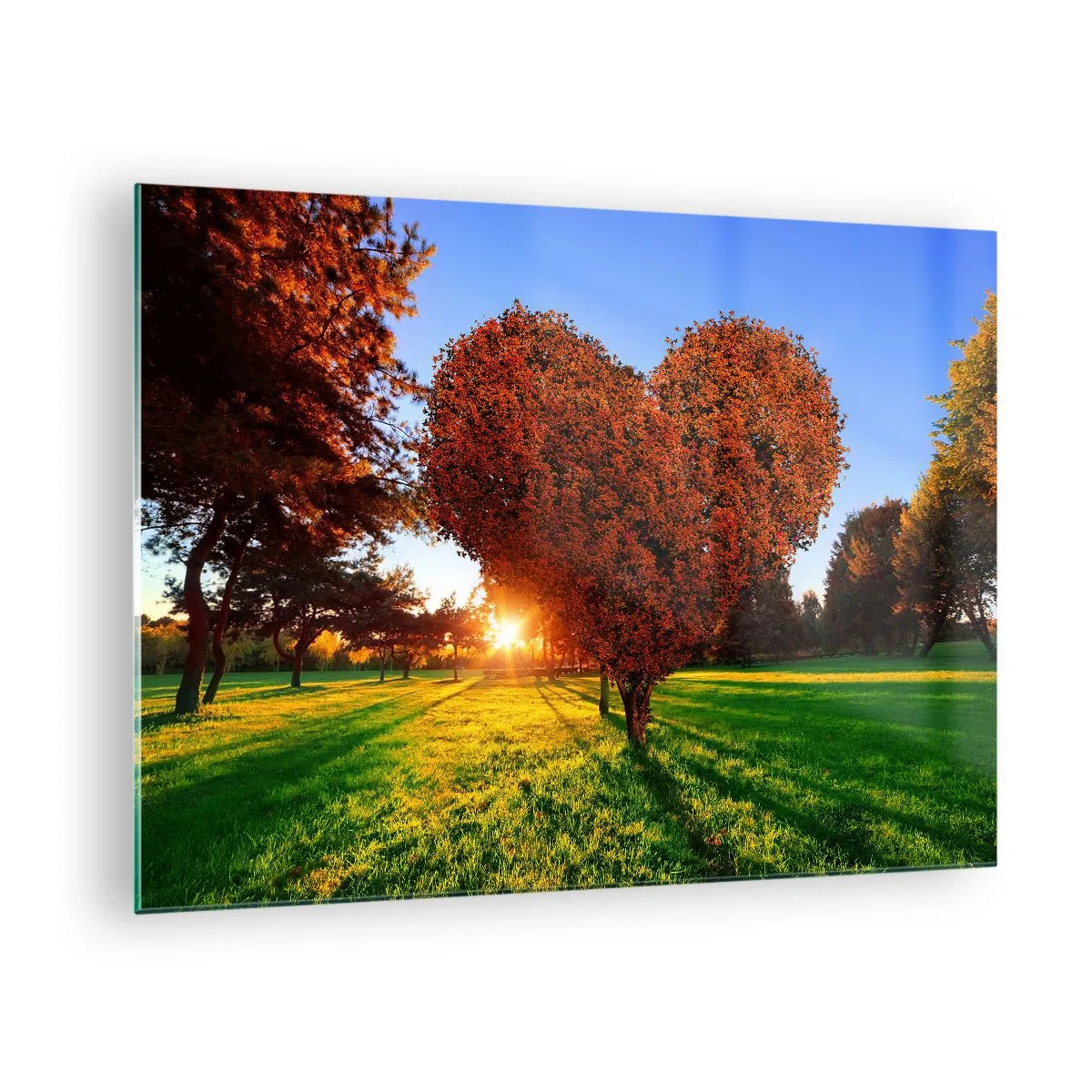 Schilderen op glas - Een hartvormige boom tegen de achtergrond van de ondergaande zon - 70x50cm - En hoe kun je niet van de herfst houden - Moderne wanddecoratie voor woonkamer en slaapkamer ARTTOR