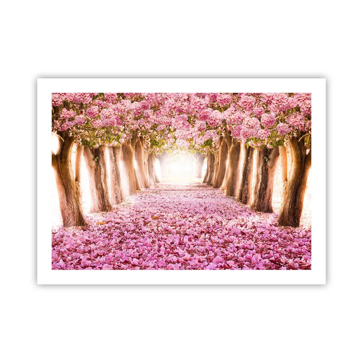 Poster - De weg naar het paradijs - 70x50 cm