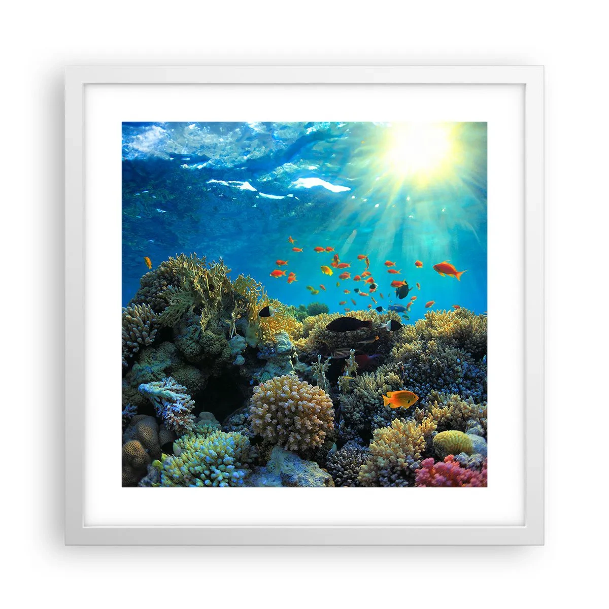 Poster in een witte lijst - Onderwater schatten - 40x40 cm