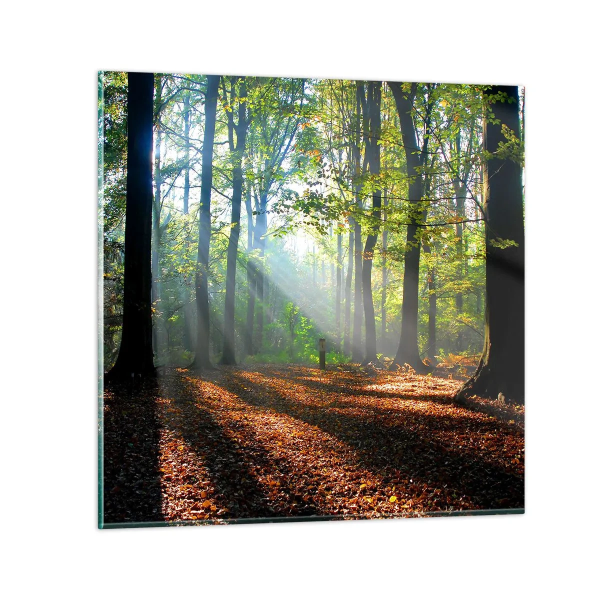 Schilderen op glas - Lichten en schaduwen - 30x30 cm