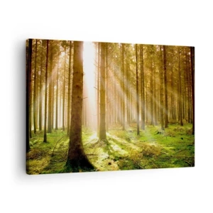 Schilderen op canvas - Naaldbos met zonnestralen die door de bomen schijnen - 70x50cm - De elfjes zullen spoedig verschijnen - Moderne wanddecoratie voor woonkamer en slaapkamer ARTTOR