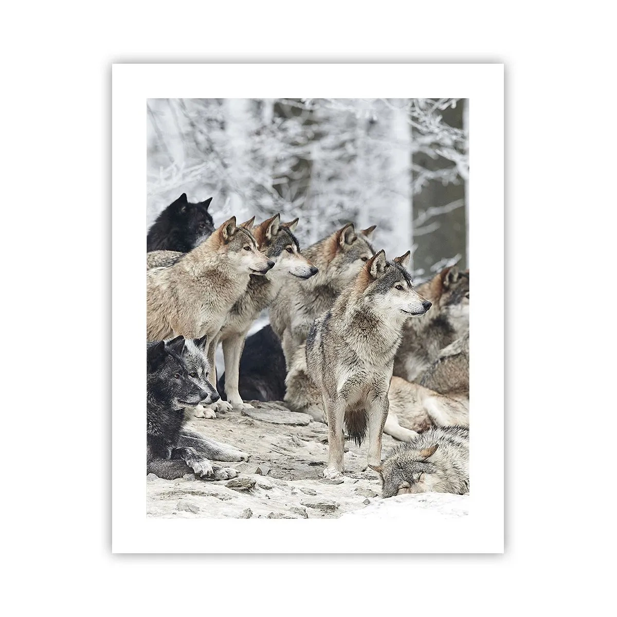 Poster - Familie en vrienden - 40x50 cm
