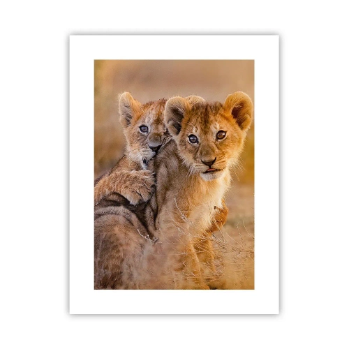 Poster - Niet storen! We hebben plezier - 30x40 cm