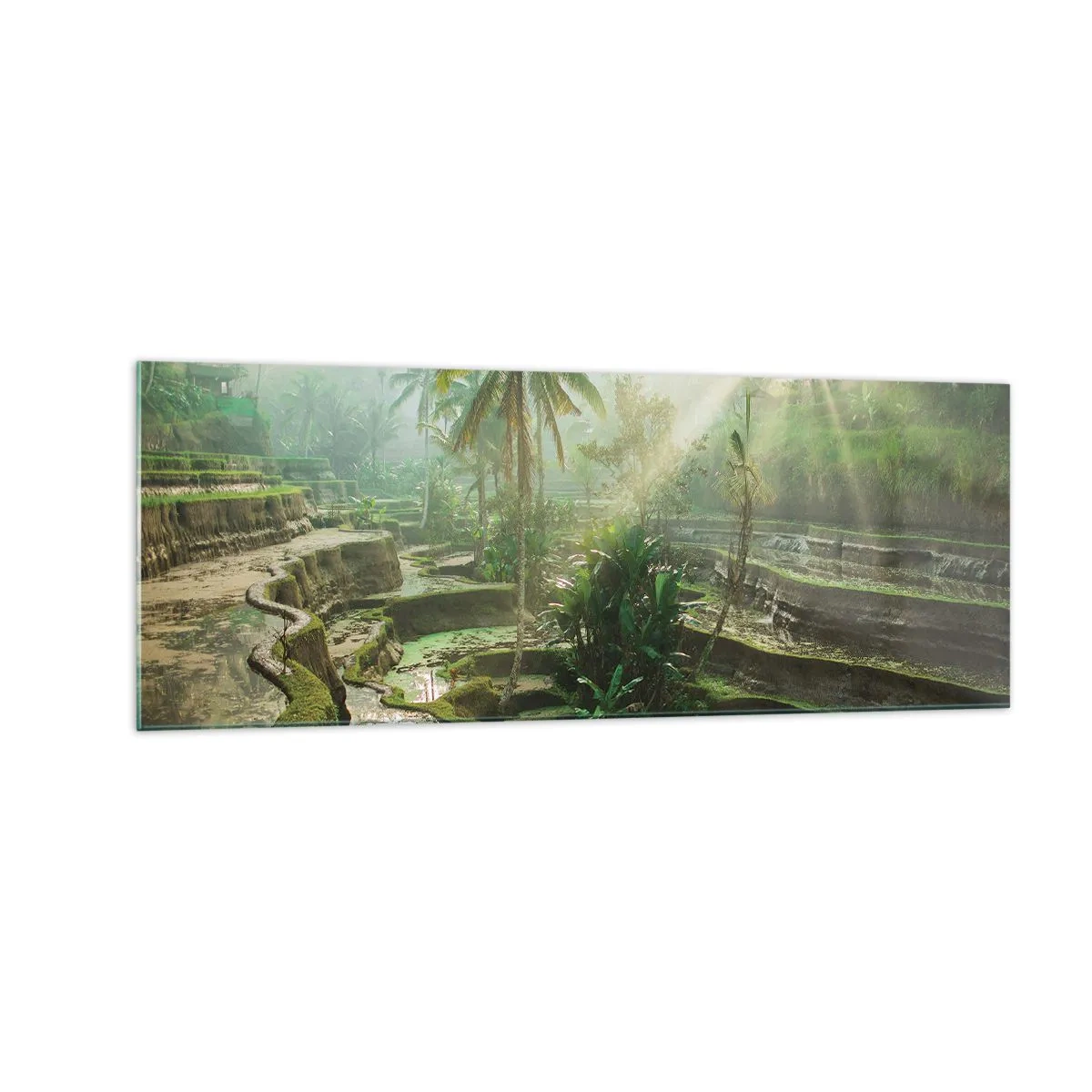 Schilderen op glas - Opgroeien in de zon - 140x50 cm