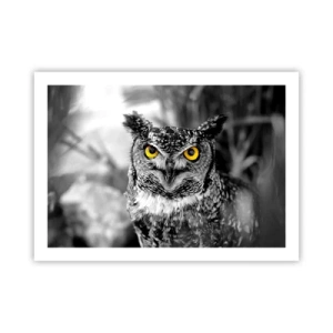 Poster - Niets zal zich verbergen - 70x50 cm