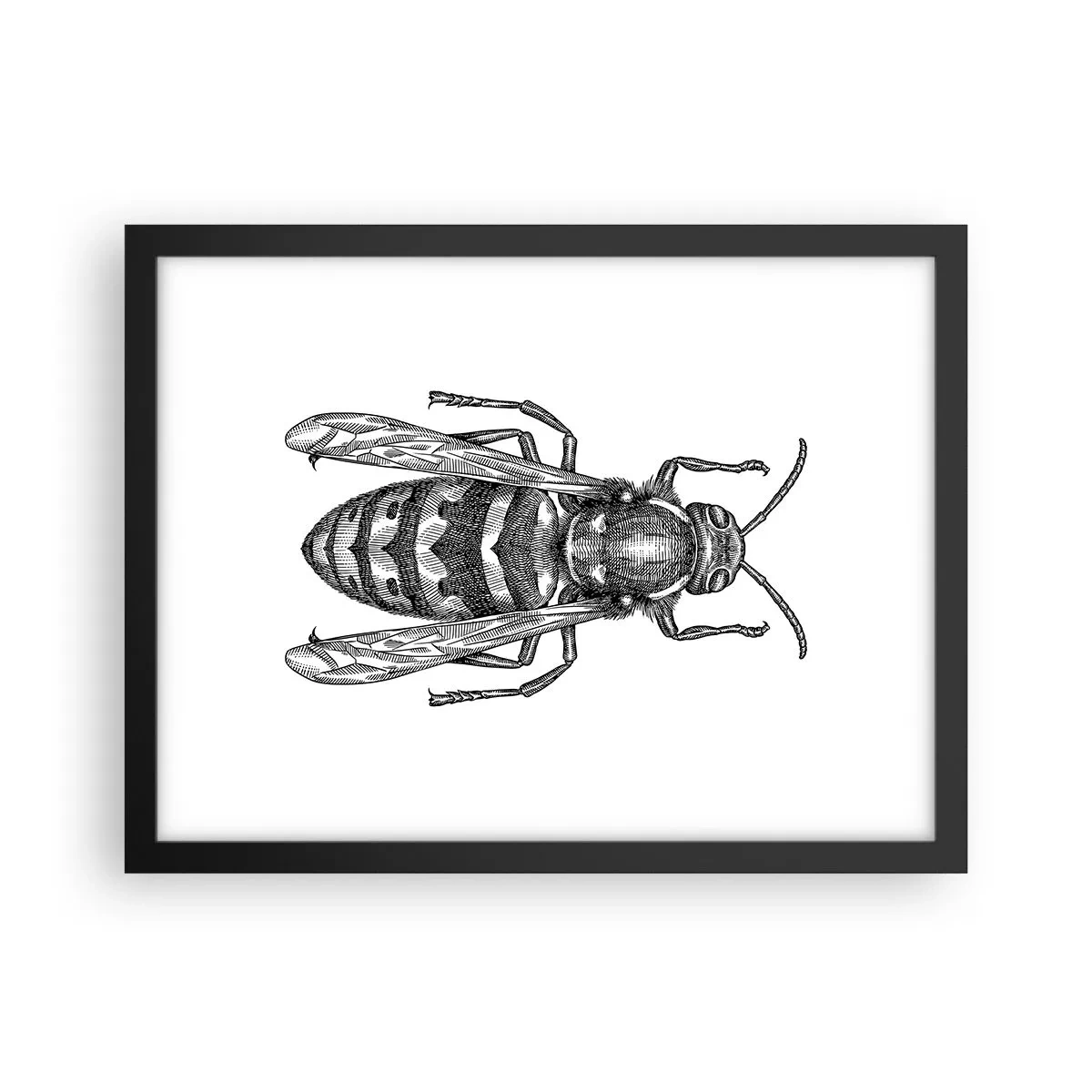 Poster in een zwarte lijst - Van een insectenplaneet - 40x30 cm
