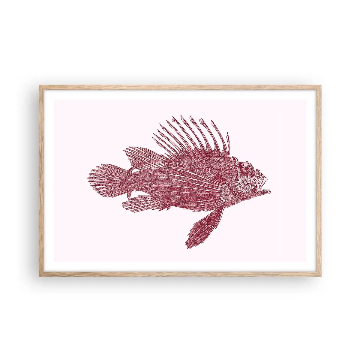 Een poster in een licht eiken lijst - Inwoner van exotische wateren - 91x61 cm