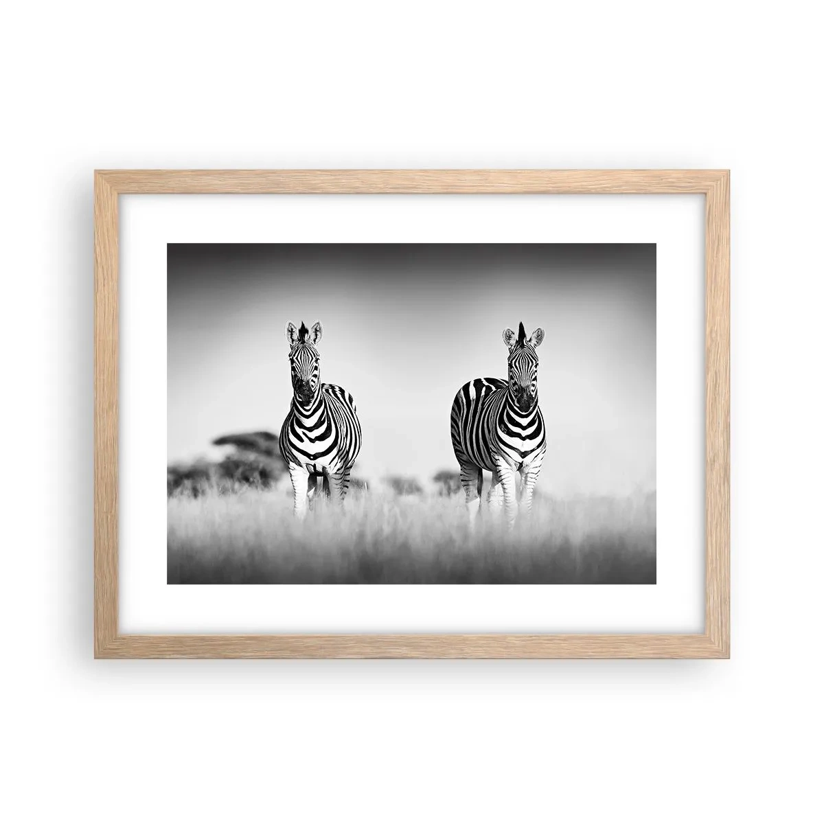 Een poster in een licht eiken lijst - Toch is de wereld zwart-wit - 40x30 cm