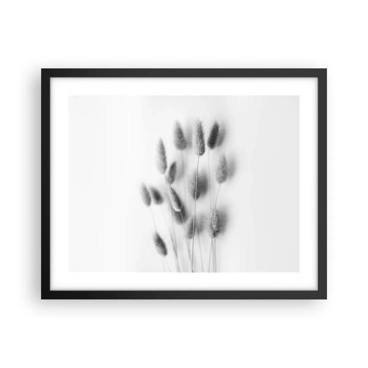 Poster in een zwarte lijst - Haar luchtigheid gras - 50x40 cm
