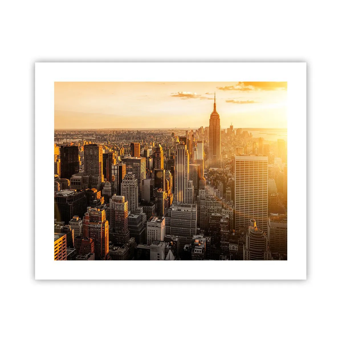Poster - Groeien in de zon - 50x40 cm