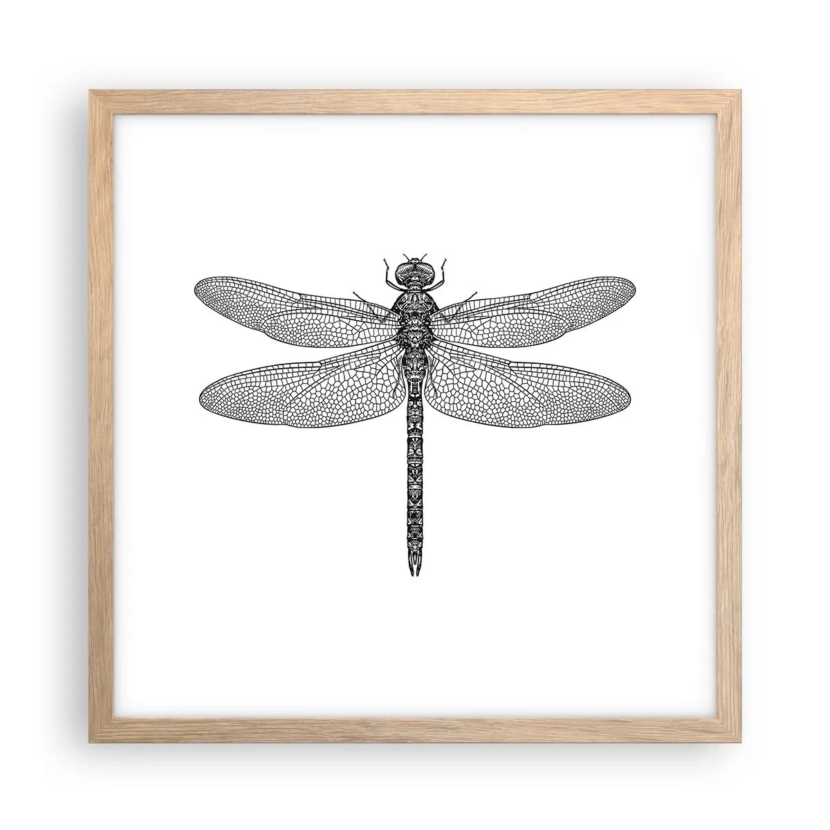 Een poster in een licht eiken lijst - Precisie van de natuur - 40x40 cm