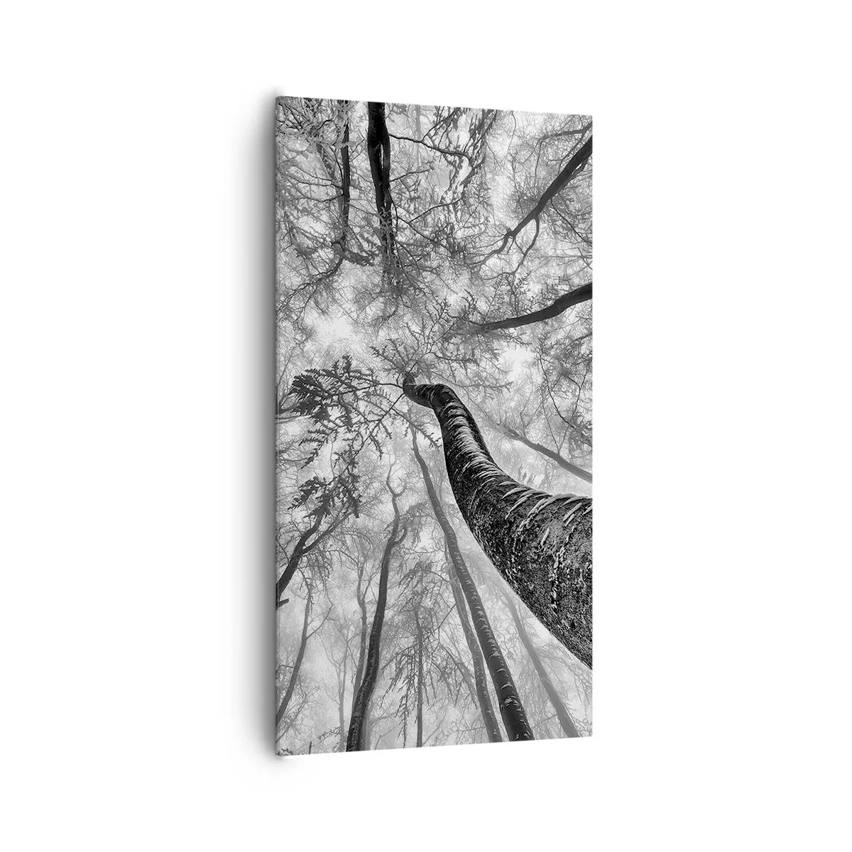 Schilderen op canvas - Race naar het licht - 65x120 cm