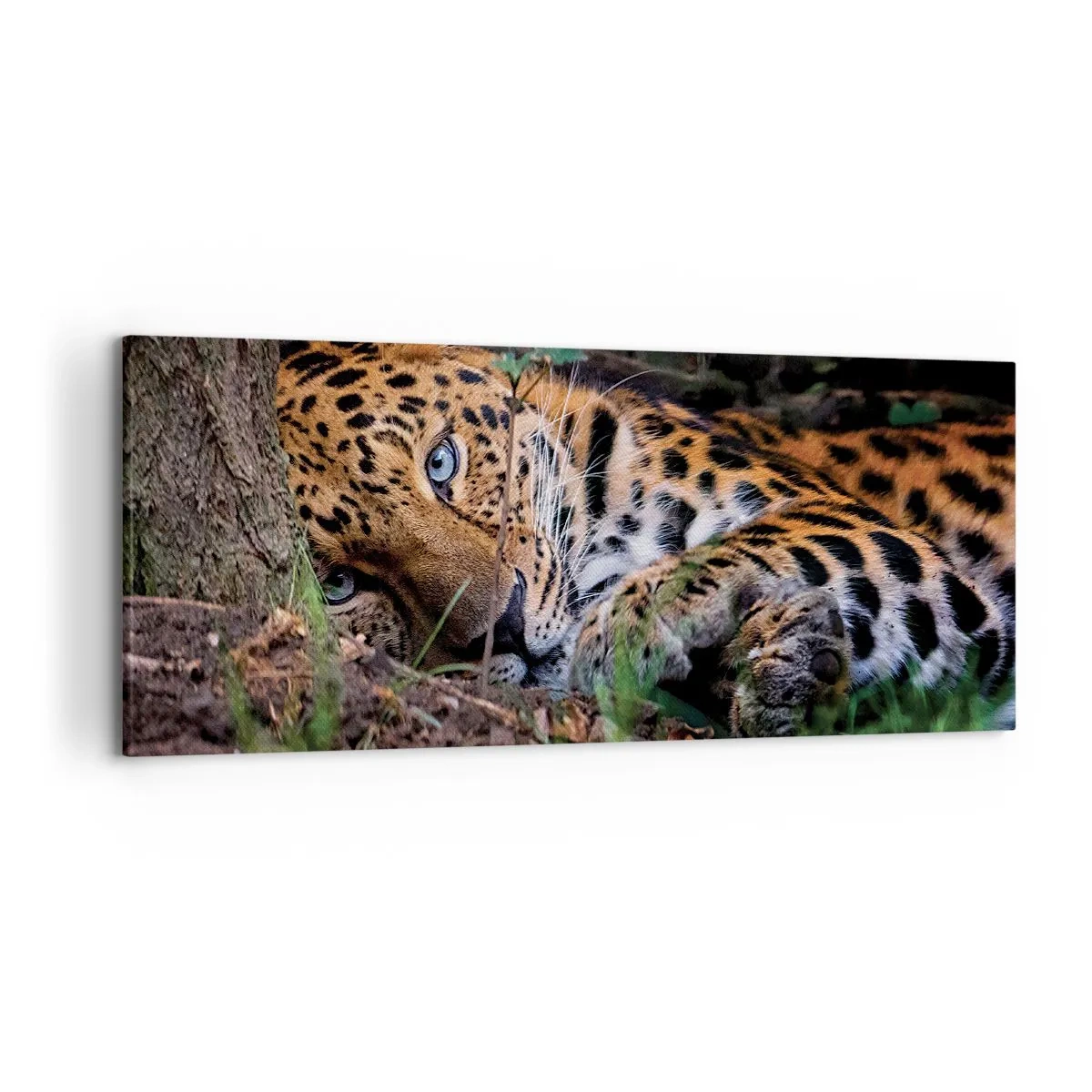 Schilderen op canvas - Geloof me - 120x50 cm