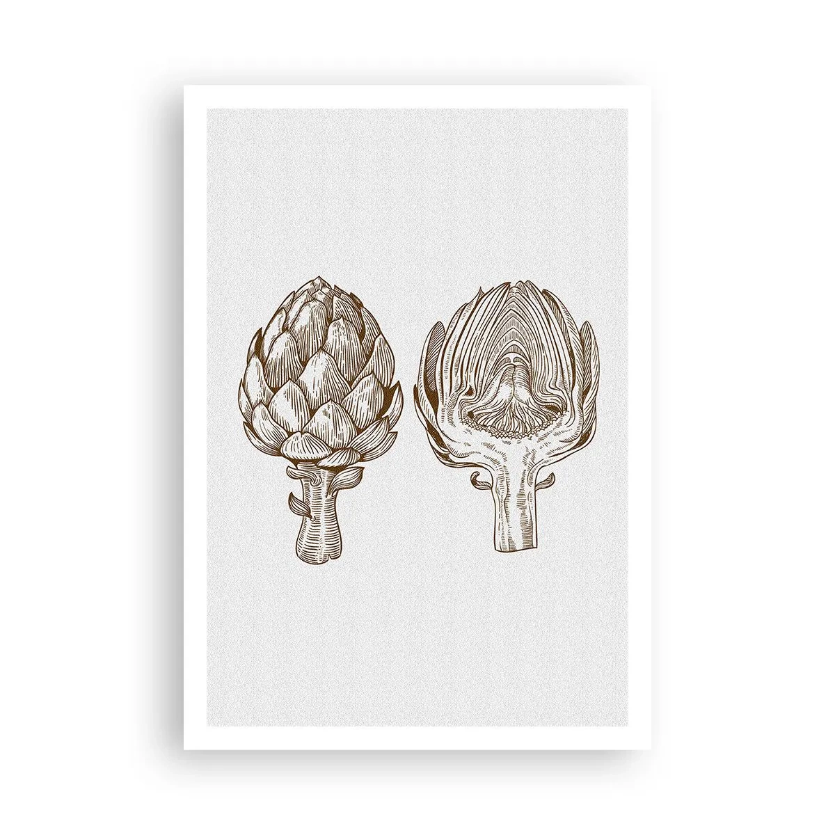 Poster - Anatomieles - 70x100 cm