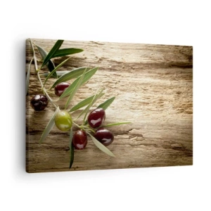 Schilderen op canvas - Olijftak met fruit op een achtergrond van oud hout - 70x50cm - Rechtstreeks uit de natuur - Moderne wanddecoratie voor woonkamer en slaapkamer ARTTOR