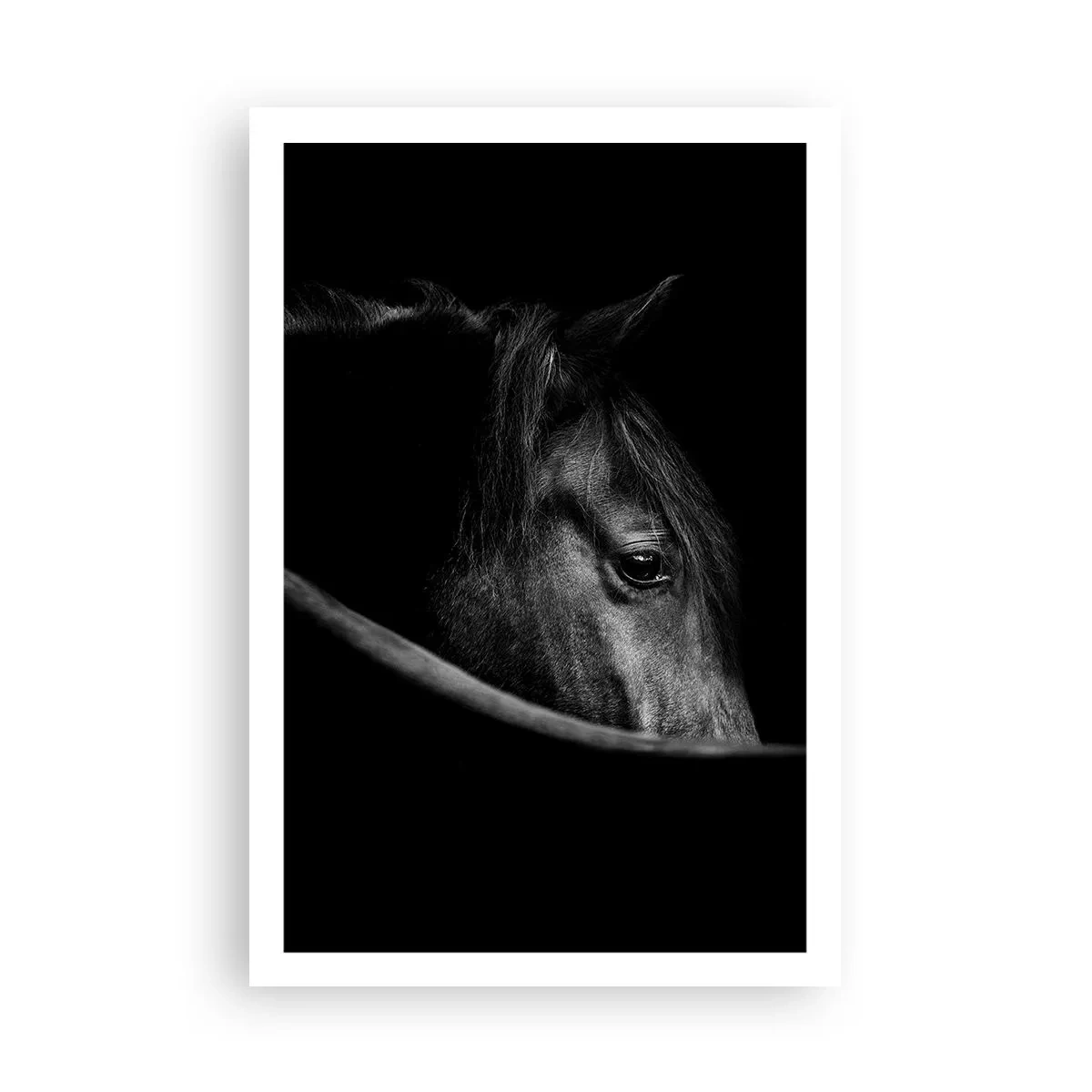 Poster - Zwarte Prins - 61x91 cm