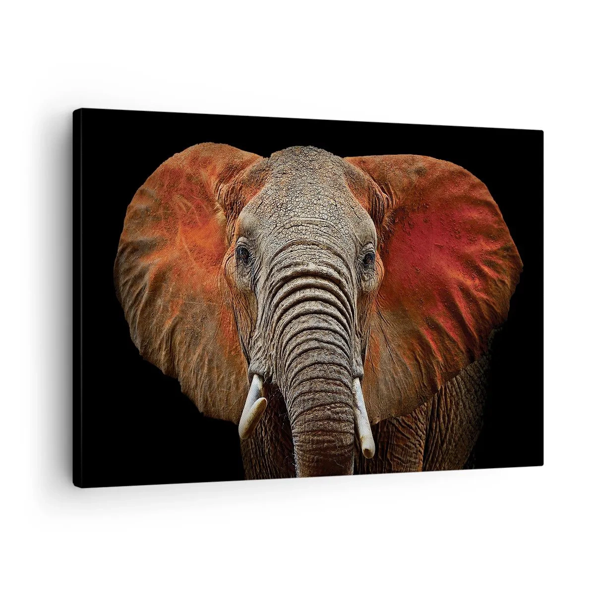 Schilderen op canvas - Portret van een olifant op een zwarte achtergrond - 70x50cm - Ik ben wild, en jij? - Moderne wanddecoratie voor woonkamer en slaapkamer ARTTOR