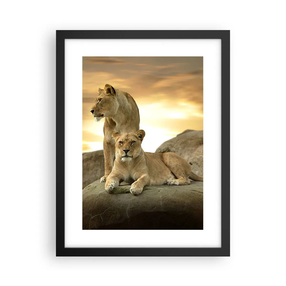 Poster in een zwarte lijst - Koninklijke majesteit - 30x40 cm