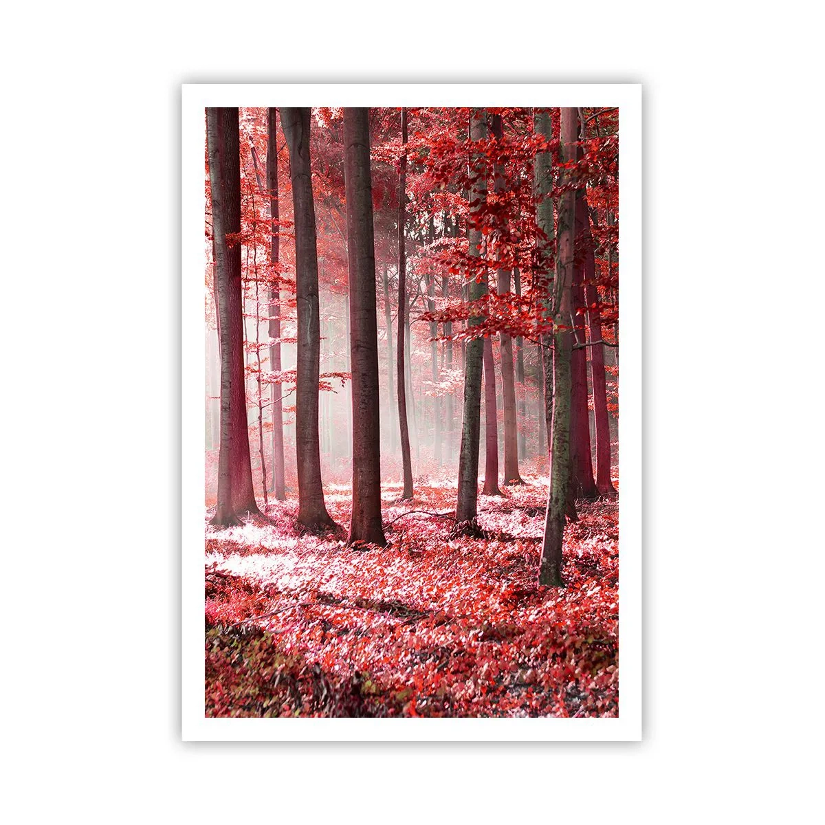Poster - Rood is net zo mooi - 70x100 cm