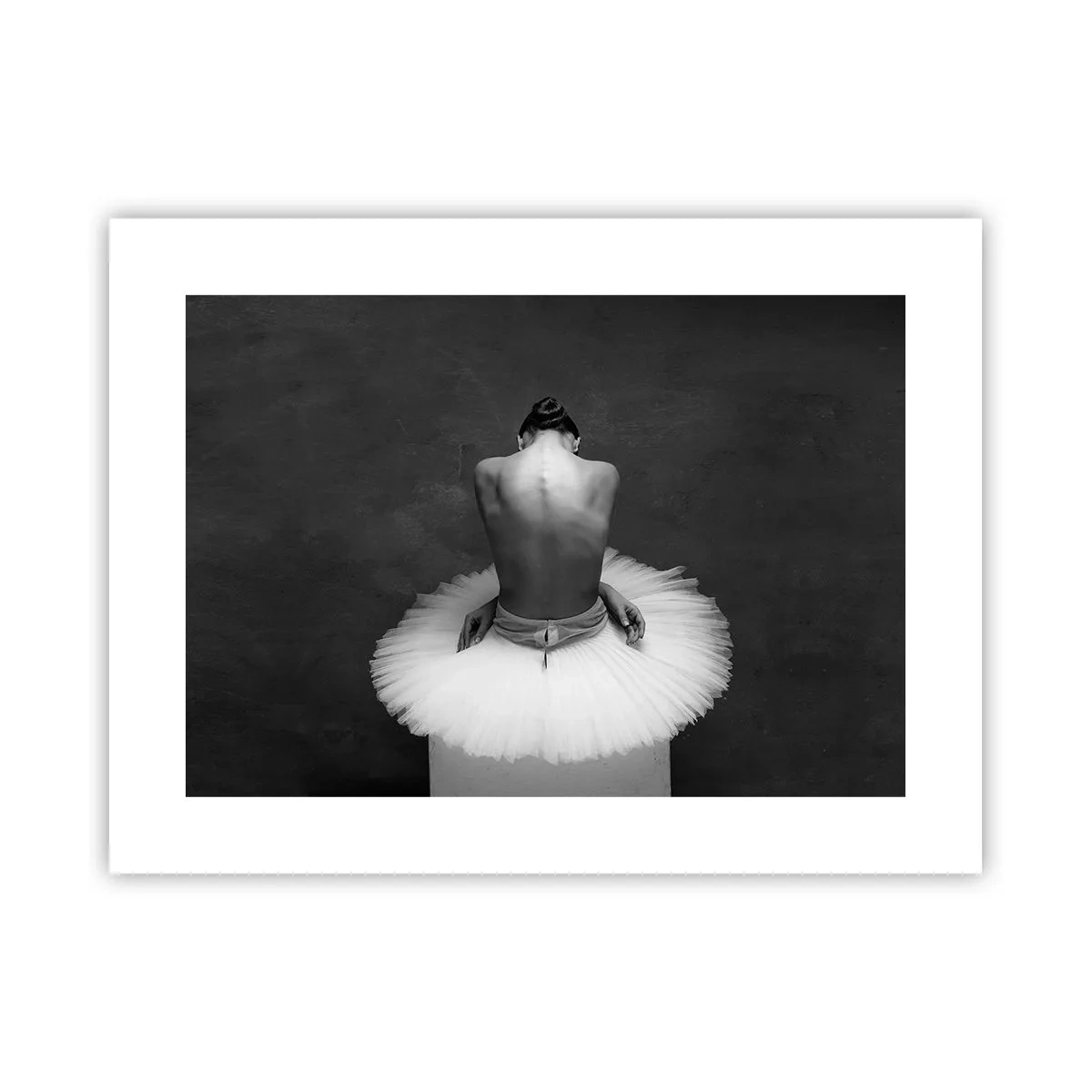 Poster - Het bloeit gewoon - 40x30 cm