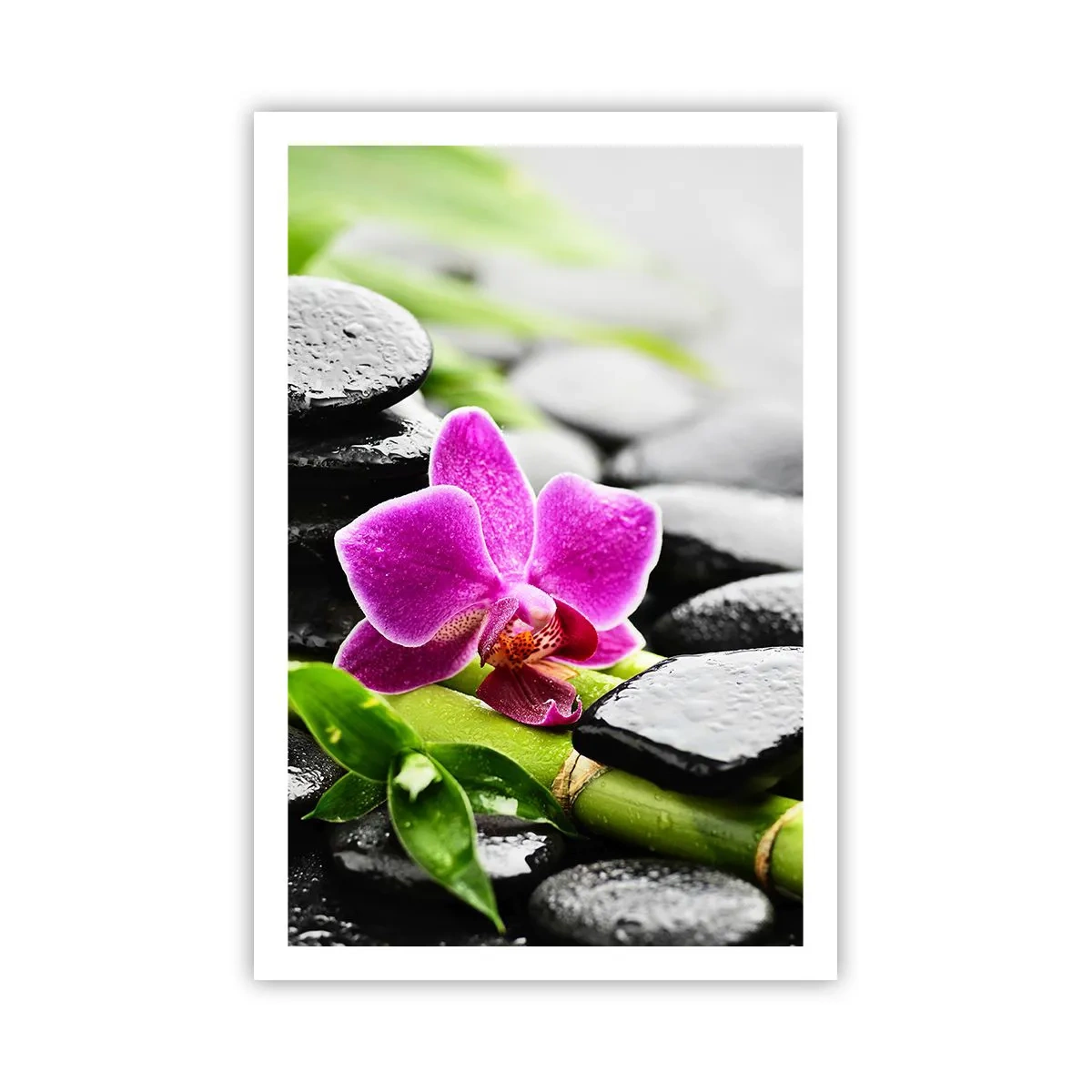 Poster - In een vrede evenwicht - 61x91 cm