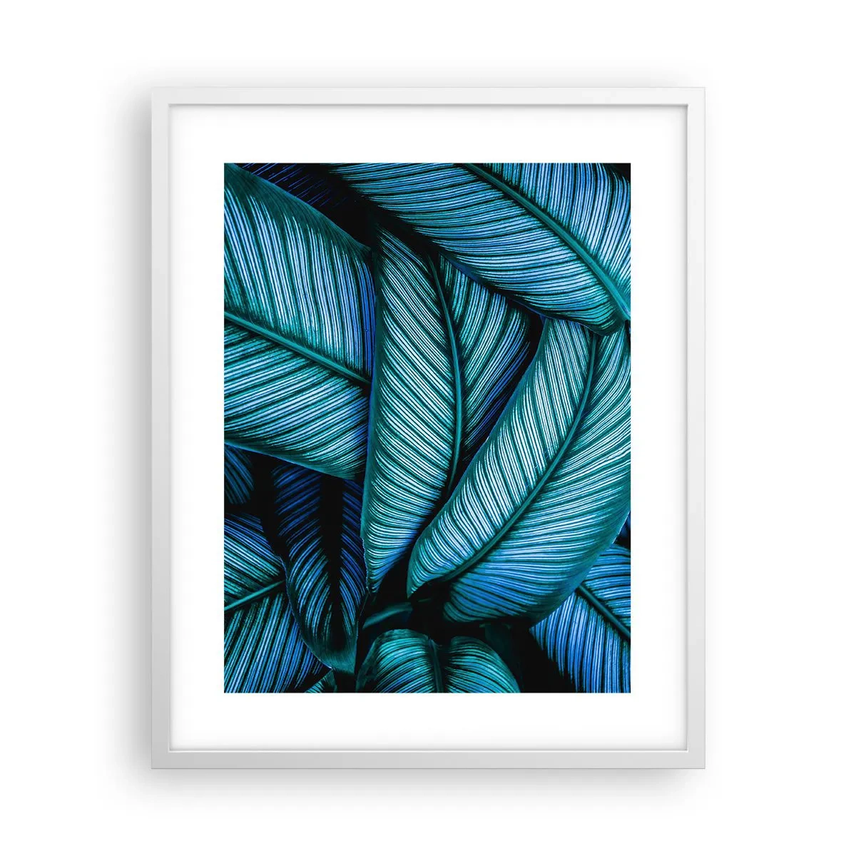 Poster in een witte lijst - Levens lijnen - 40x50 cm