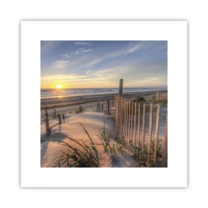 Poster - Glans en schaduw van de wind - 30x30 cm