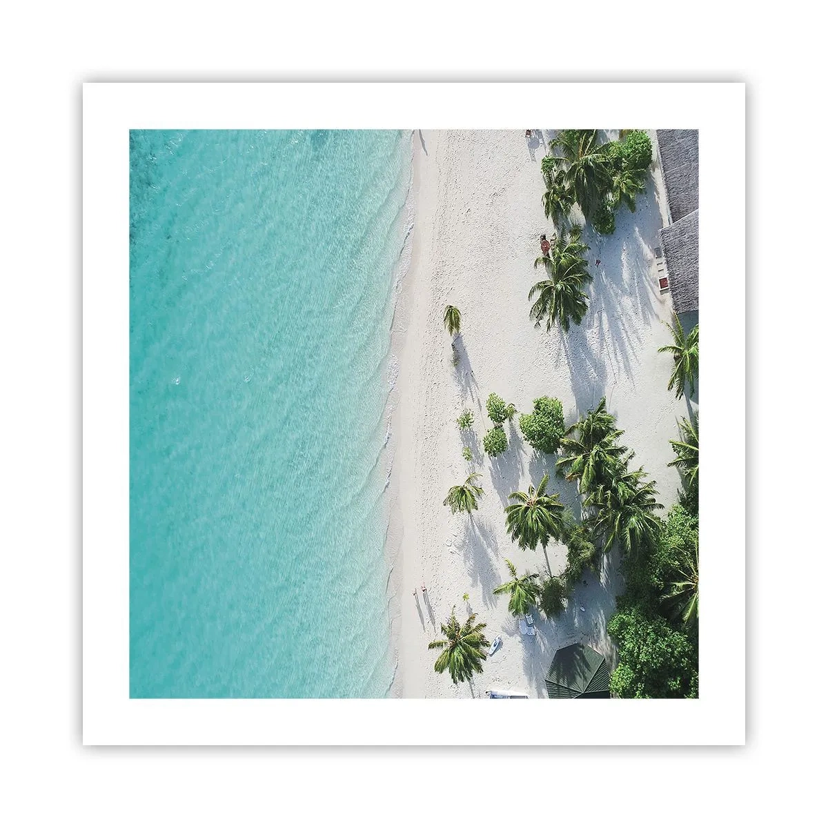 Poster - Een vakantie in het paradijs - 50x50 cm