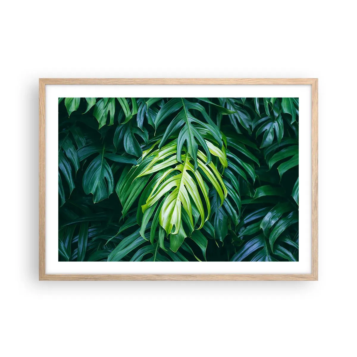 Een poster in een licht eiken lijst - Dompel jezelf onder in de frisheid - 70x50 cm