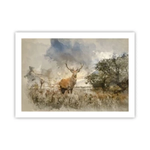 Poster - Waardigheid - kracht - waardigheid - 70x50 cm