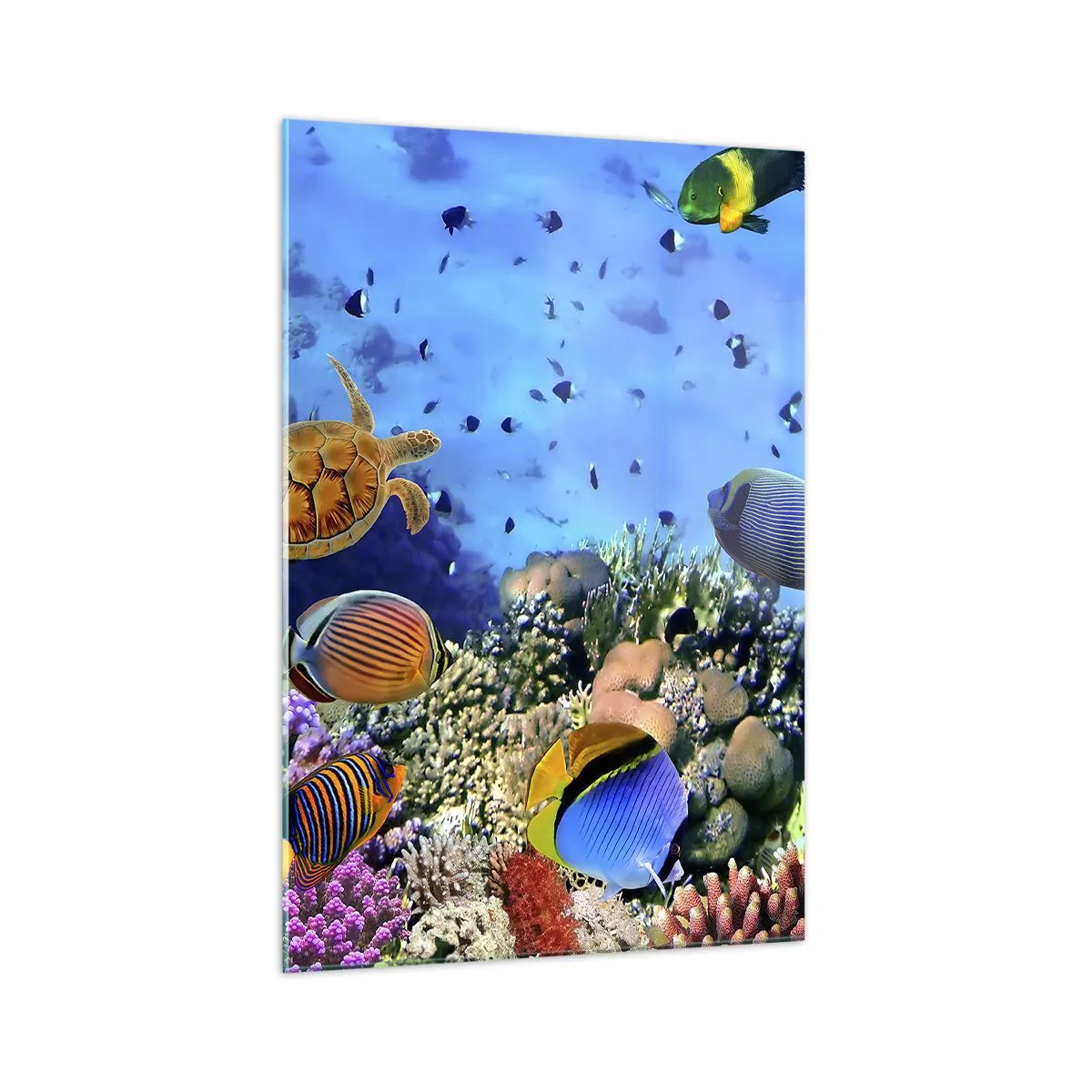 Schilderen op glas - En wat weten we over het leven... - 70x100 cm