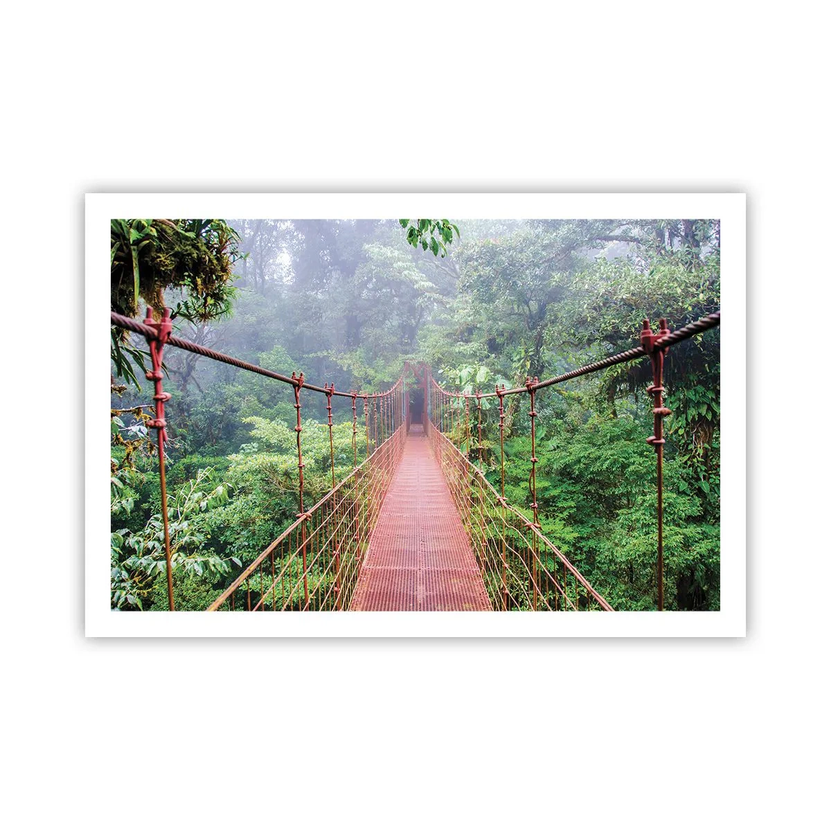 Poster - Opgehangen over de kronen - 91x61 cm