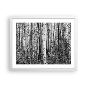 Poster in een witte lijst - Berken colonnade - 50x40 cm