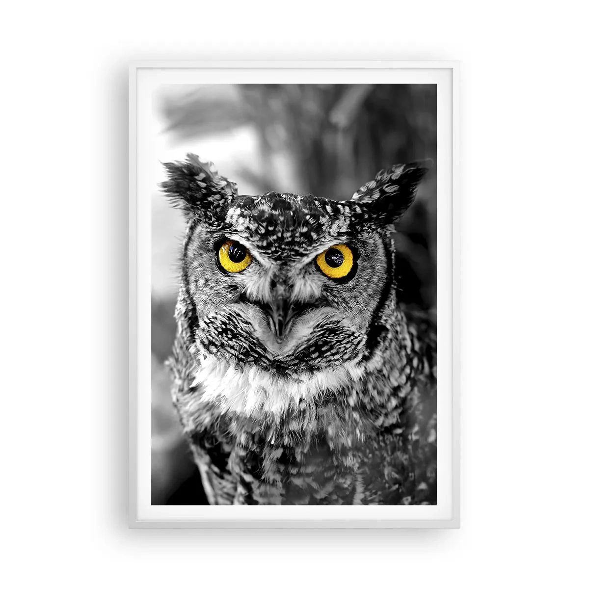 Poster in een witte lijst - Niets zal zich verbergen - 70x100 cm