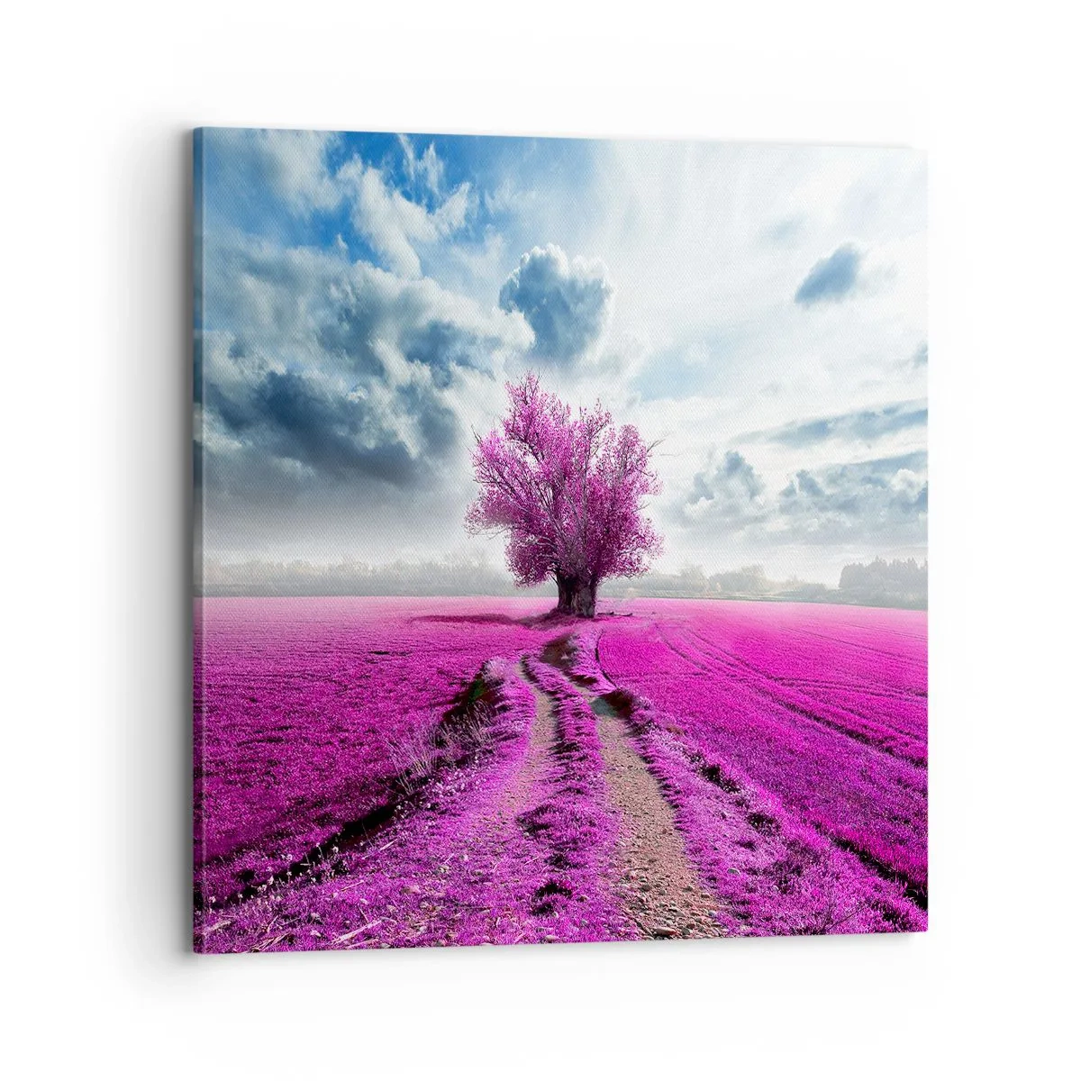 Schilderen op canvas - Heide - heilige plek - 70x70 cm