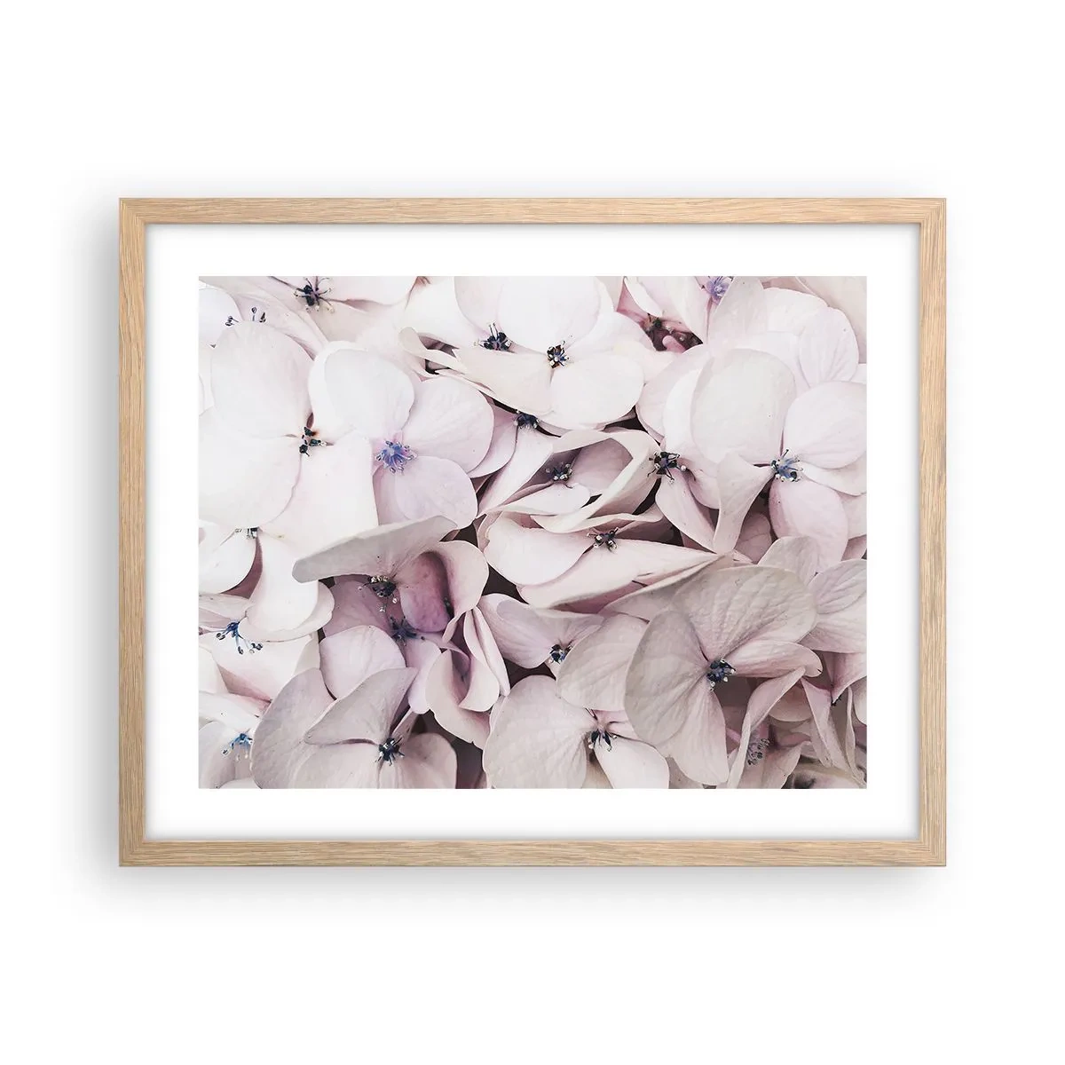 Een poster in een licht eiken lijst - In een vloed van bloemen - 50x40 cm